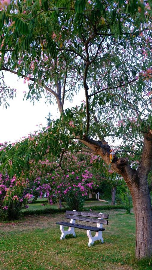 Tatil Evi Casa Alegria