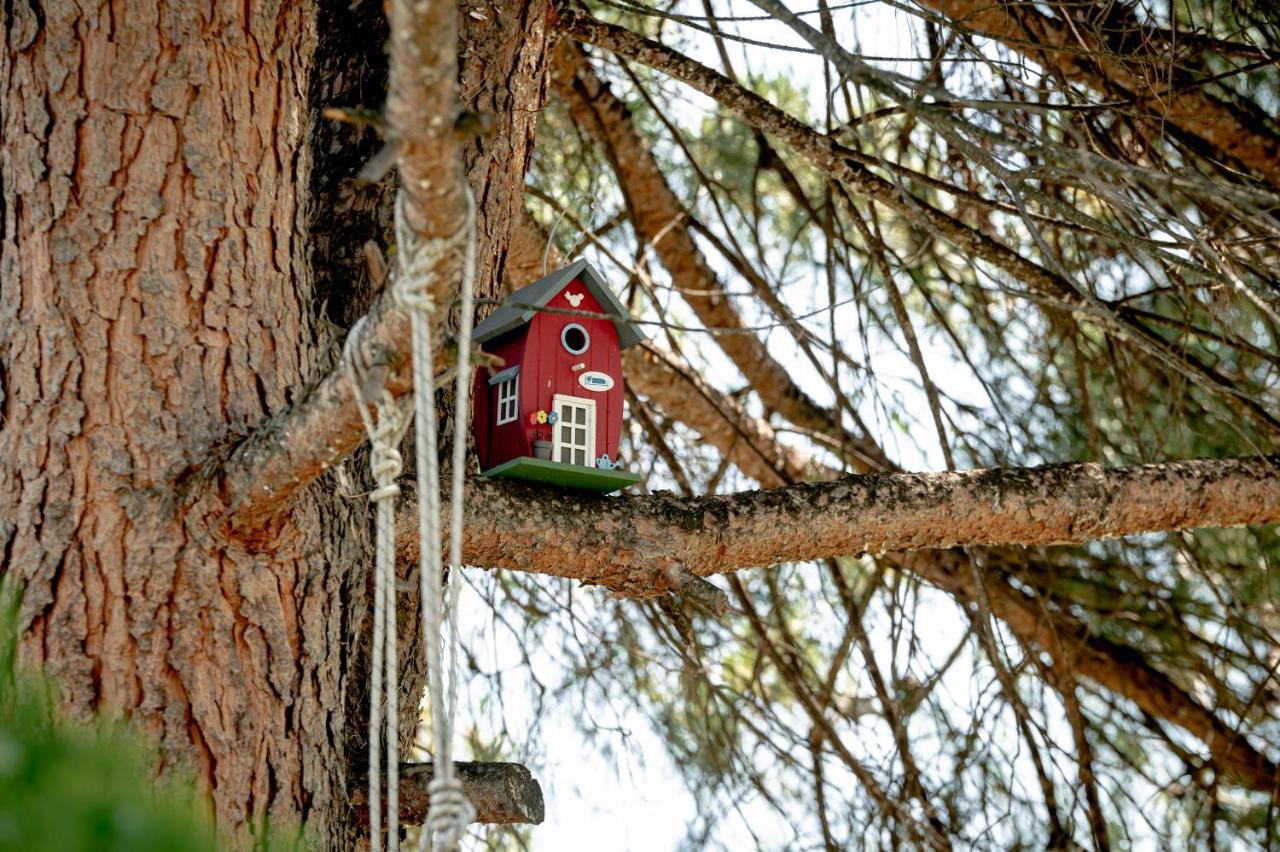 Tatil Evi Casa Alegria