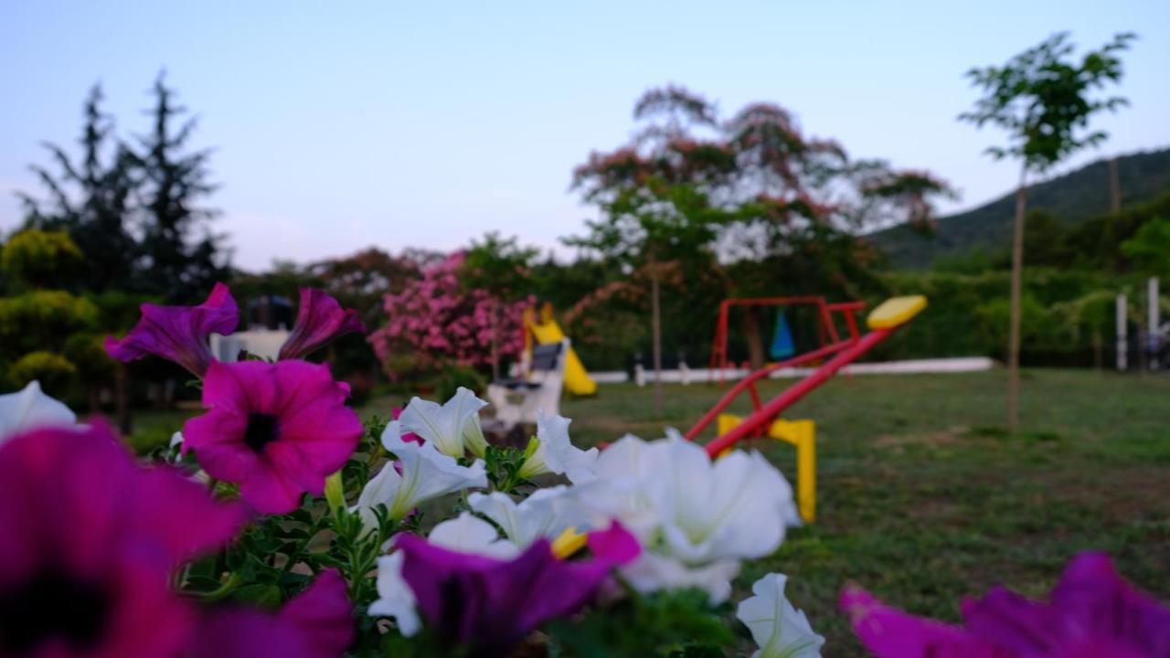 Holiday home Casa Alegria