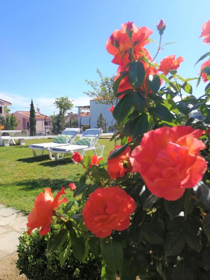 Casa Alegria Holiday home *